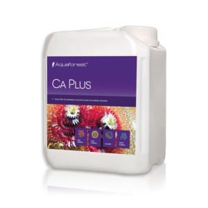 ca-plus-jug_1