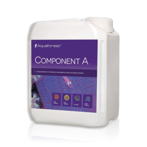 component-a-jug_1