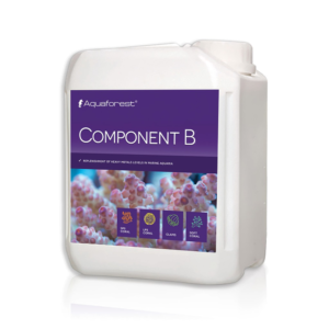 component-b-jug_1
