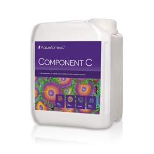 component-c-jug_1