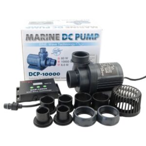 61BVnB2nDjL._SL1000_