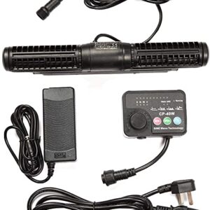 61PQiGFLyCL._AC_SX466_