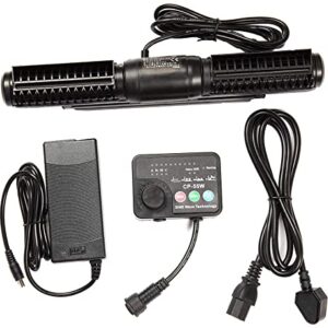 61Q+612z+XL._AC_SX466_